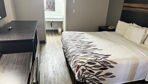 King Guestroom